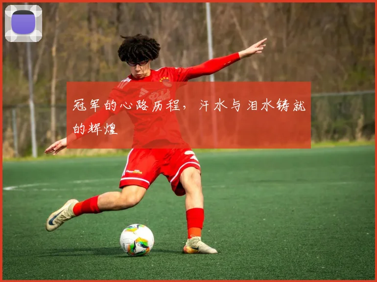 冠军的心路历程，汗水与泪水铸就的辉煌