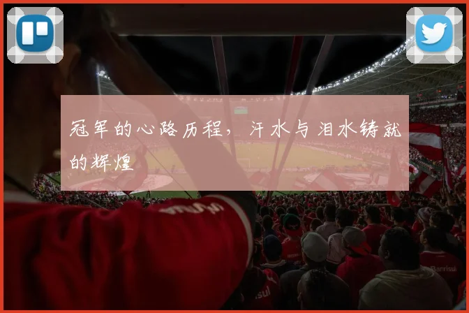 冠军的心路历程，汗水与泪水铸就的辉煌